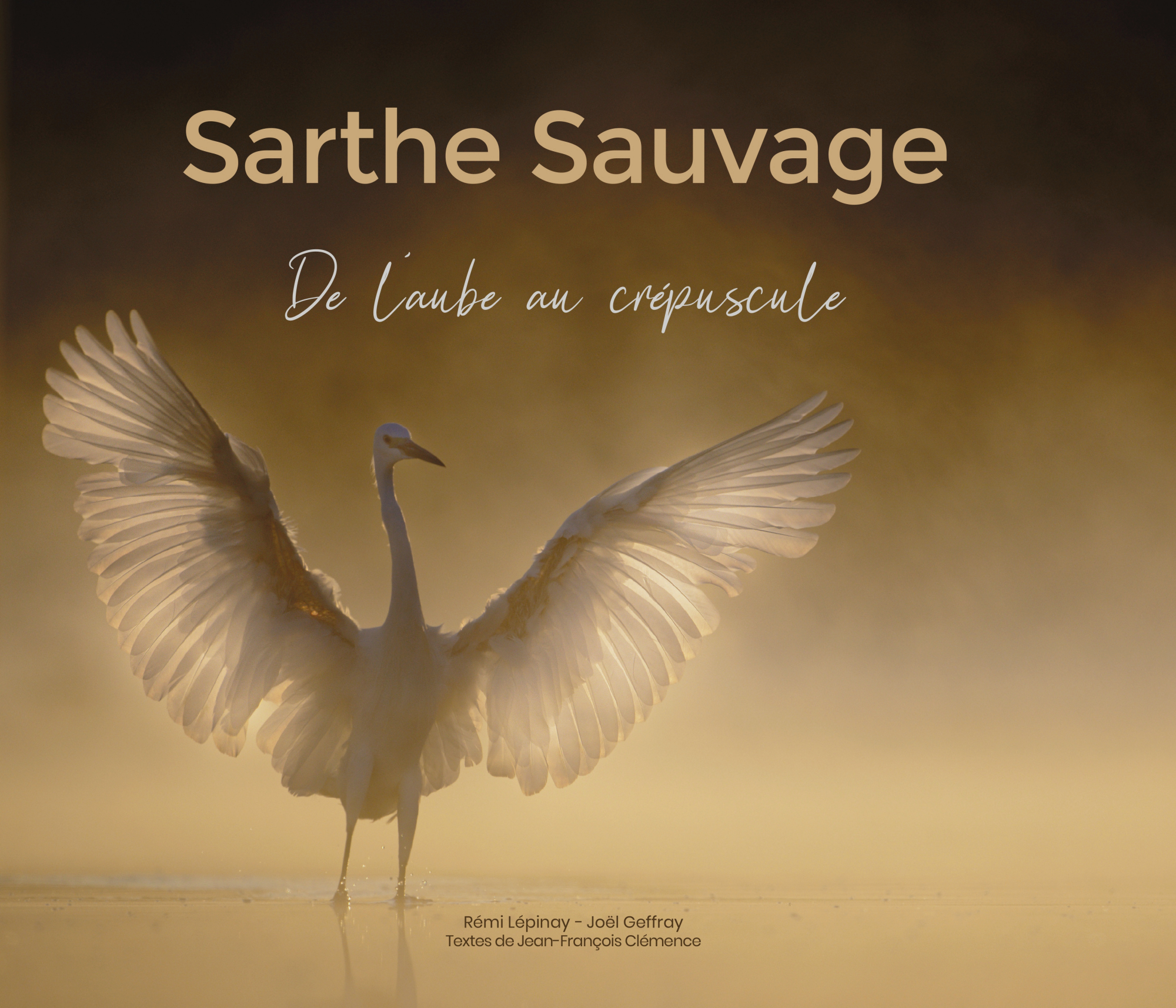 OK SartheSauvage Couverture  1 40 42