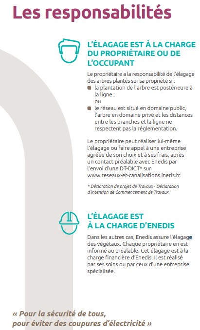 Enedis et élagage