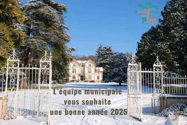 Voeux 2025