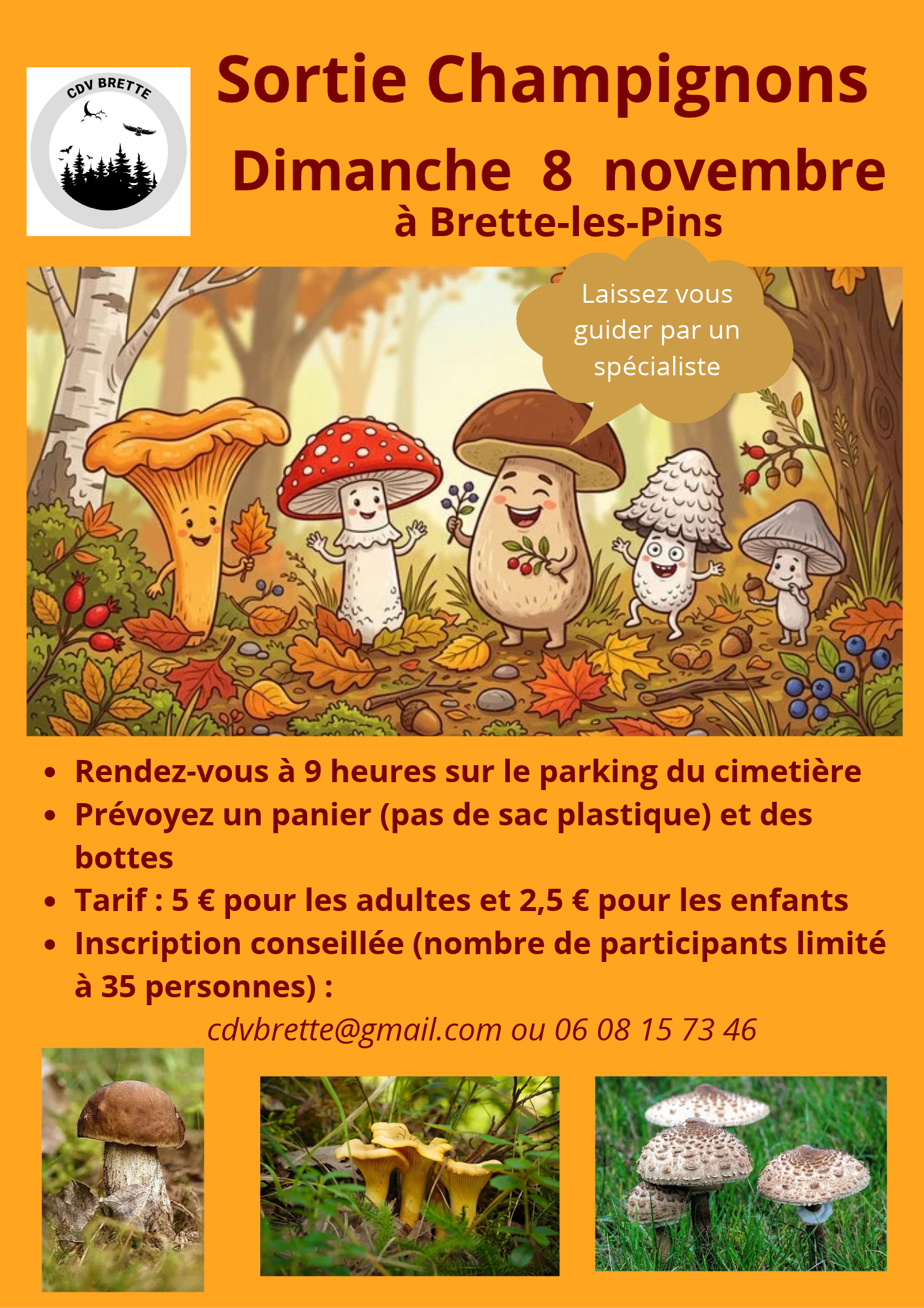 Dimanche 8 novembre