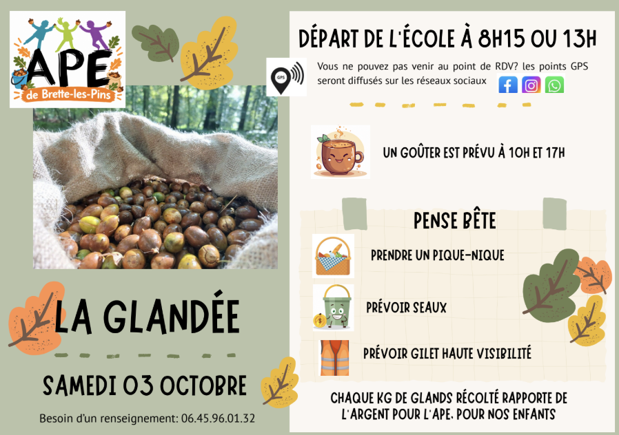 samedi 3 octobre en Forêt de Bercé