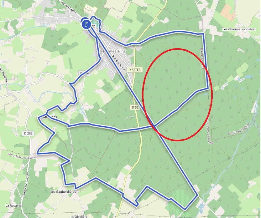 Sanglier