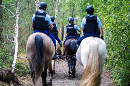brigade equestre