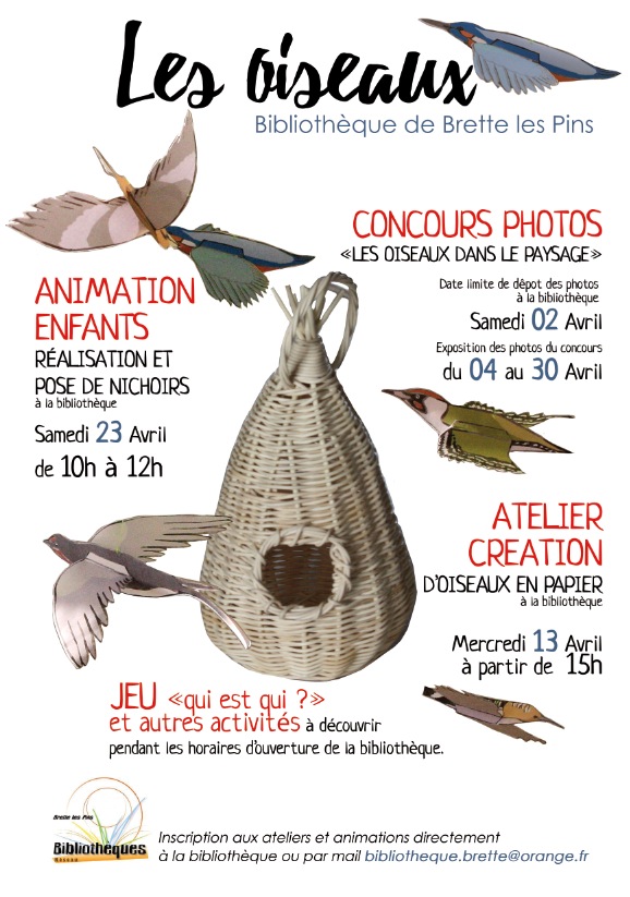 affiche oiseaux